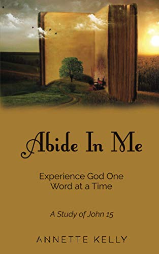 Imagen de archivo de Abide In Me: Experience God One Word at a Time a la venta por Books Unplugged