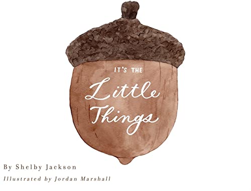 Stock image for It's the Little Things Childrens Book by Shelby Jackson for sale by SecondSale