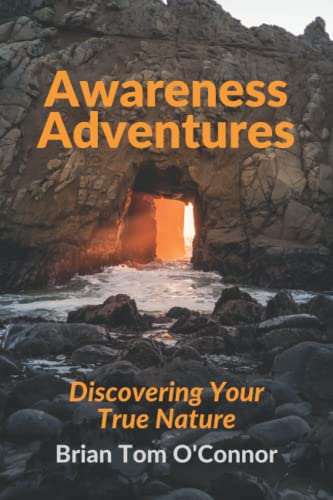 Imagen de archivo de Awareness Adventures: Discovering Your True Nature a la venta por GreatBookPrices