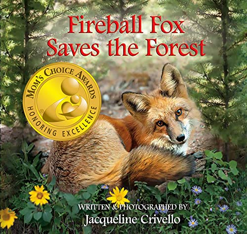 Stock image for Fireball Fox Saves the Forest for sale by Goodwill of Colorado