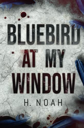 9780578998596: Bluebird At My Window