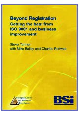 Stock image for Beyond Registration: Getting the Best from ISO 9001 and Business Improvement for sale by AwesomeBooks