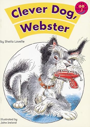 Stock image for Clever Dog, Webster New Readers Fiction 2 (LONGMAN BOOK PROJECT) for sale by WorldofBooks