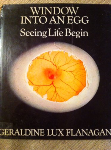 Imagen de archivo de Window into an Egg a la venta por books4u31