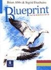 9780582210592: Blueprint Intermediate Test Book