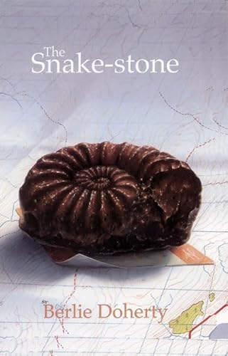 Beispielbild fr The Snake-stone (NEW LONGMAN LITERATURE 11-14) zum Verkauf von AwesomeBooks