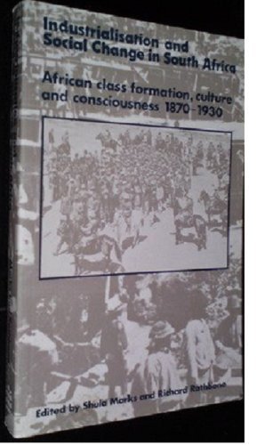 9780582643376: Industrialization and Social Change in South Africa: African Class, Culture and Consciousness, 1870-1930