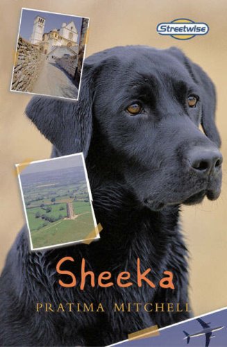 Stock image for Streetwise Sheeka (LITERACY LAND) for sale by Goldstone Books