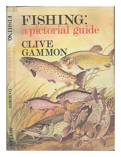 Stock image for Fishing: A Pictorial Guide for sale by WorldofBooks