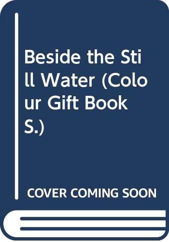 Beispielbild fr Beside The Still Water zum Verkauf von WorldofBooks