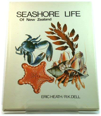 Imagen de archivo de Seashore Life of New Zealand a la venta por Bear Pond Books