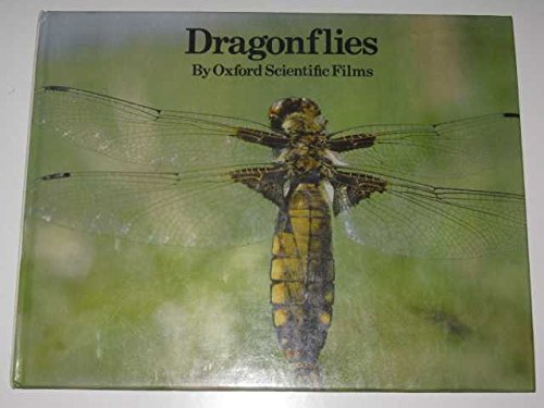 Dragonflies