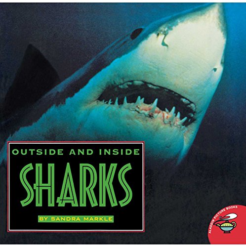 9780590026536: Outside and inside sharks