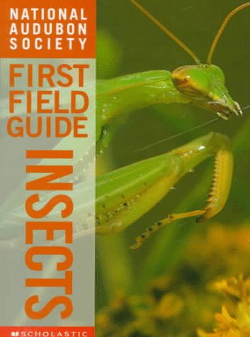 Beispielbild fr Insects National Audubon Socie zum Verkauf von SecondSale