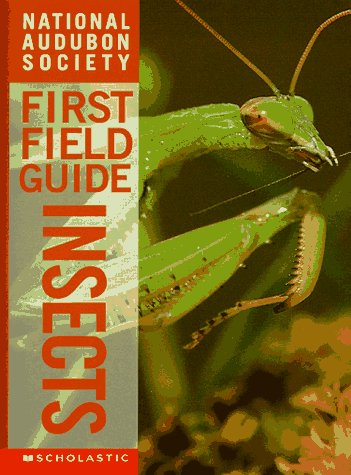9780590054836: Insects (Audubon Guides)
