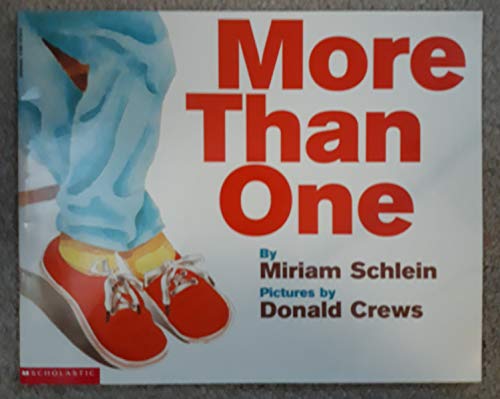 Beispielbild fr More Than One zum Verkauf von Better World Books