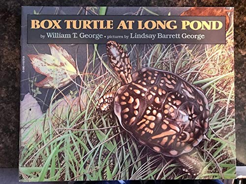 9780590115728: Box Turtle at Long Pond