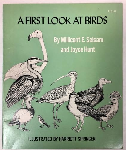 Imagen de archivo de A First Look at Birds a la venta por ThriftBooks-Dallas