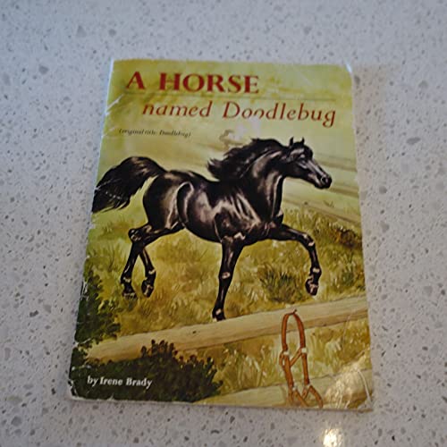 Stock image for Horse Named Doodlebug for sale by Wonder Book