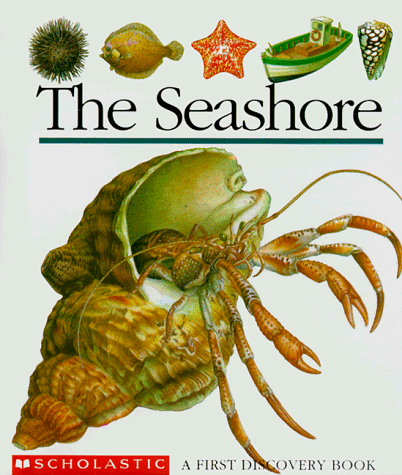 Stock image for The Seashore First Discovery B for sale by SecondSale