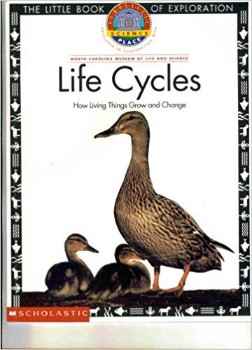 Imagen de archivo de The Little Book of Exploration Life Cycles How Living Things Grow and Change a la venta por HPB Inc.