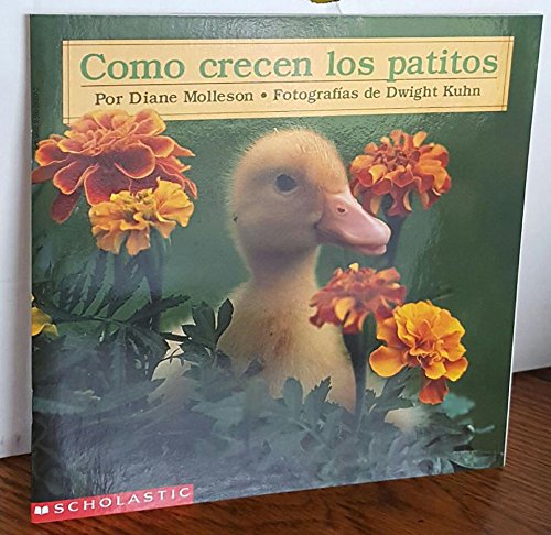 Como Crecen los Patitos (How Ducklings Grow in Spanish) (9780590293679) by Diane Molleson