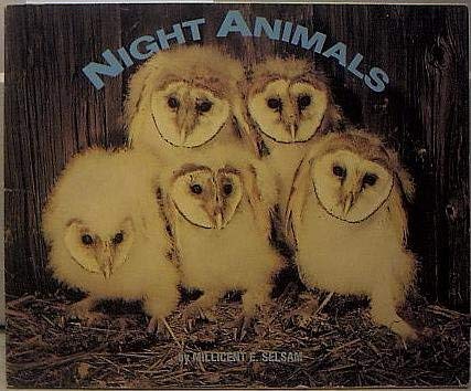 Beispielbild fr Night Animals zum Verkauf von Wonder Book