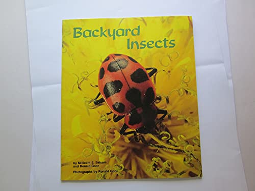 Stock image for Backyard Insects for sale by Wonder Book