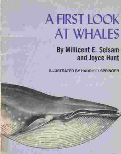 Stock image for A First Look at Whales for sale by Wonder Book