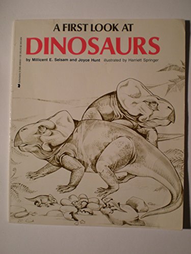 Imagen de archivo de A First Look at Dinosaurs a la venta por Better World Books