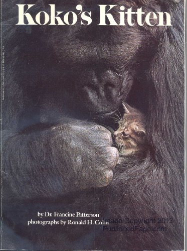 Beispielbild fr Koko's Kitten zum Verkauf von Wonder Book