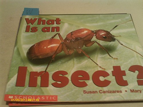 Imagen de archivo de What Is An Insect? (Emergent Readers) a la venta por SecondSale