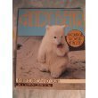 9780590401579: Andy Bear: A Polar Cub Grows Up at the Zoo