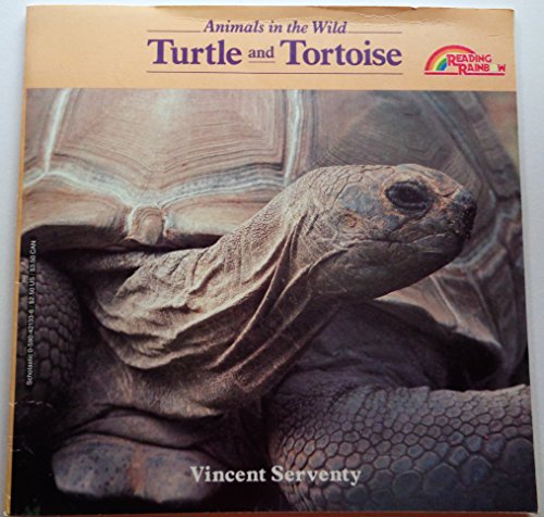 Beispielbild fr Turtle and Tortoise zum Verkauf von Wonder Book