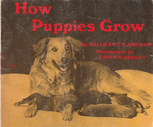 Stock image for How Puppies Grow for sale by Once Upon A Time Books