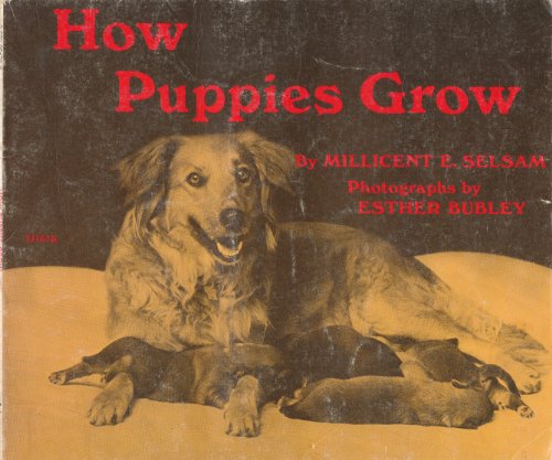 Stock image for How Puppies Grow for sale by ThriftBooks-Atlanta