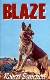 Stock image for Blaze for sale by ThriftBooks-Dallas