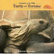 9780590421331: Turtle and Tortoise (Animals in the Wild Series)
