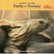 Imagen de archivo de Turtle and Tortoise (Animals in the Wild Series) a la venta por Wonder Book