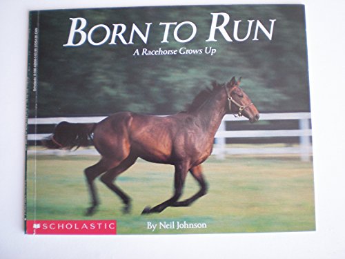 Beispielbild fr Born to Run: A Racehorse Grows Up zum Verkauf von Wonder Book