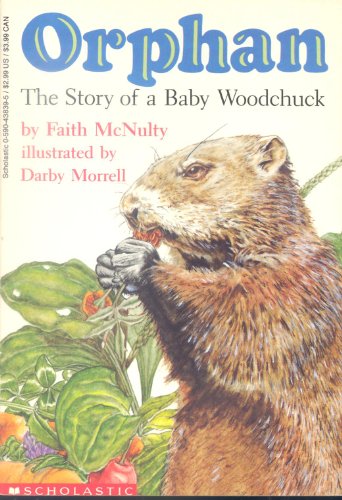 Stock image for Orphan The Story of A Baby Woodchuck for sale by SecondSale