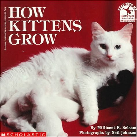 Beispielbild fr How Kittens Grow zum Verkauf von Better World Books