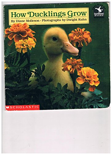 How Ducklings Grow (Read With Me) (9780590452014) by Molleson, Diane