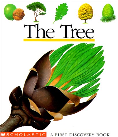 The Tree (First Discovery Books) (9780590452656) by Jeunesse, Gallimard; De Bourgoing, Pascale