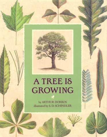 Stock image for A Tree Is Growing for sale by Better World Books