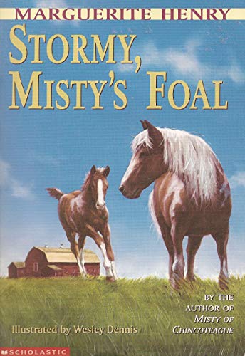 Stock image for Stormy, Misty's Foal for sale by The Book Garden