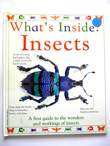 What's Inside? Insects (9780590466158) by Angela Royston