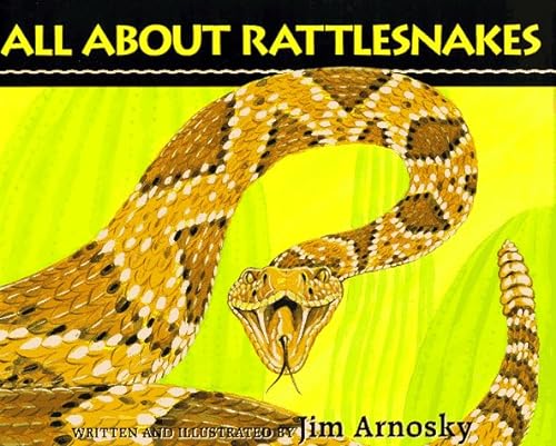 9780590467940: Jim Arnosky's All About Rattlesnakes
