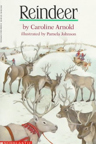 Stock image for Reindeer for sale by Your Online Bookstore