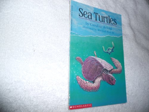 Beispielbild fr Sea Turtles zum Verkauf von SecondSale
